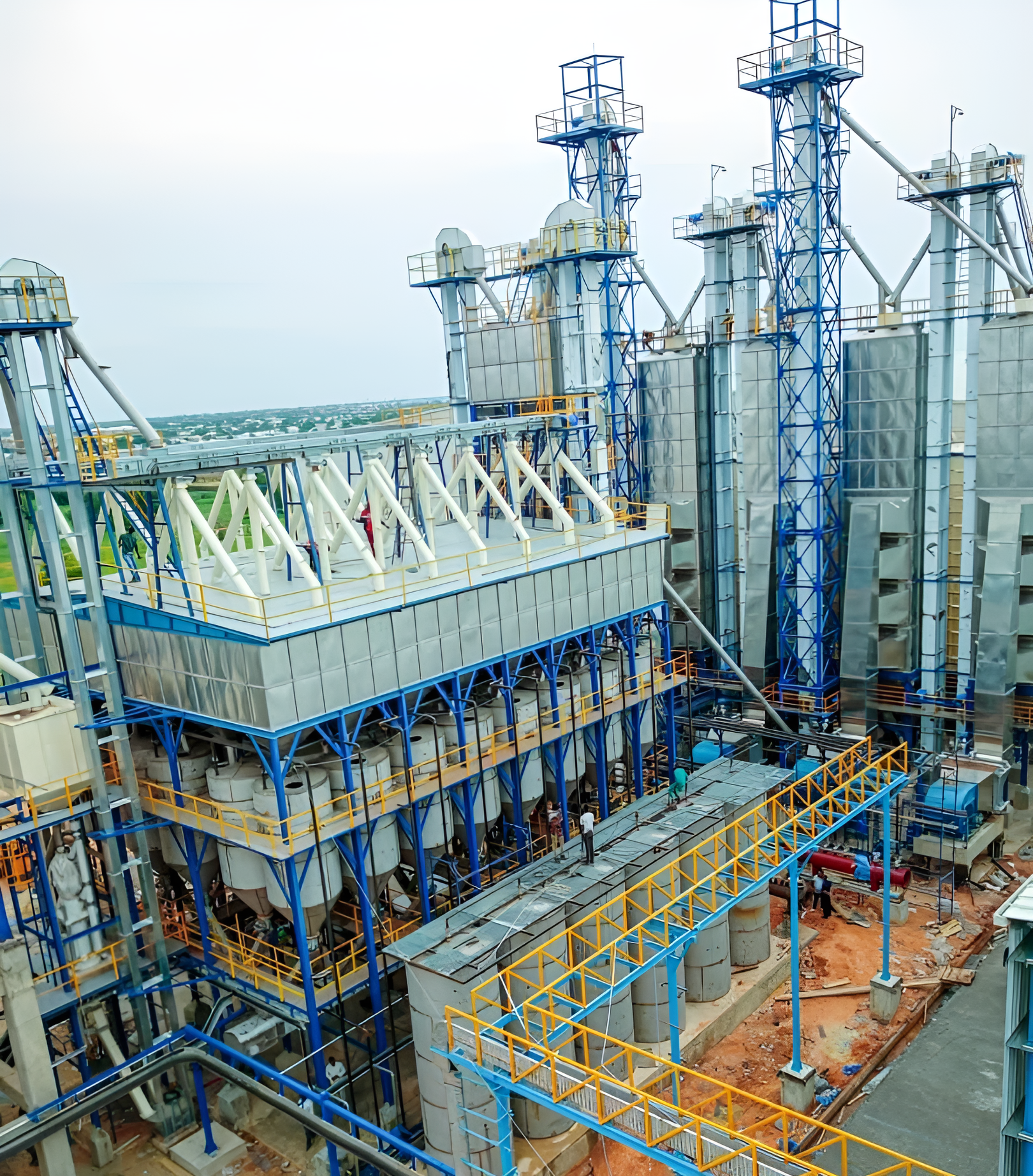 Quantum Rice, Nigeria